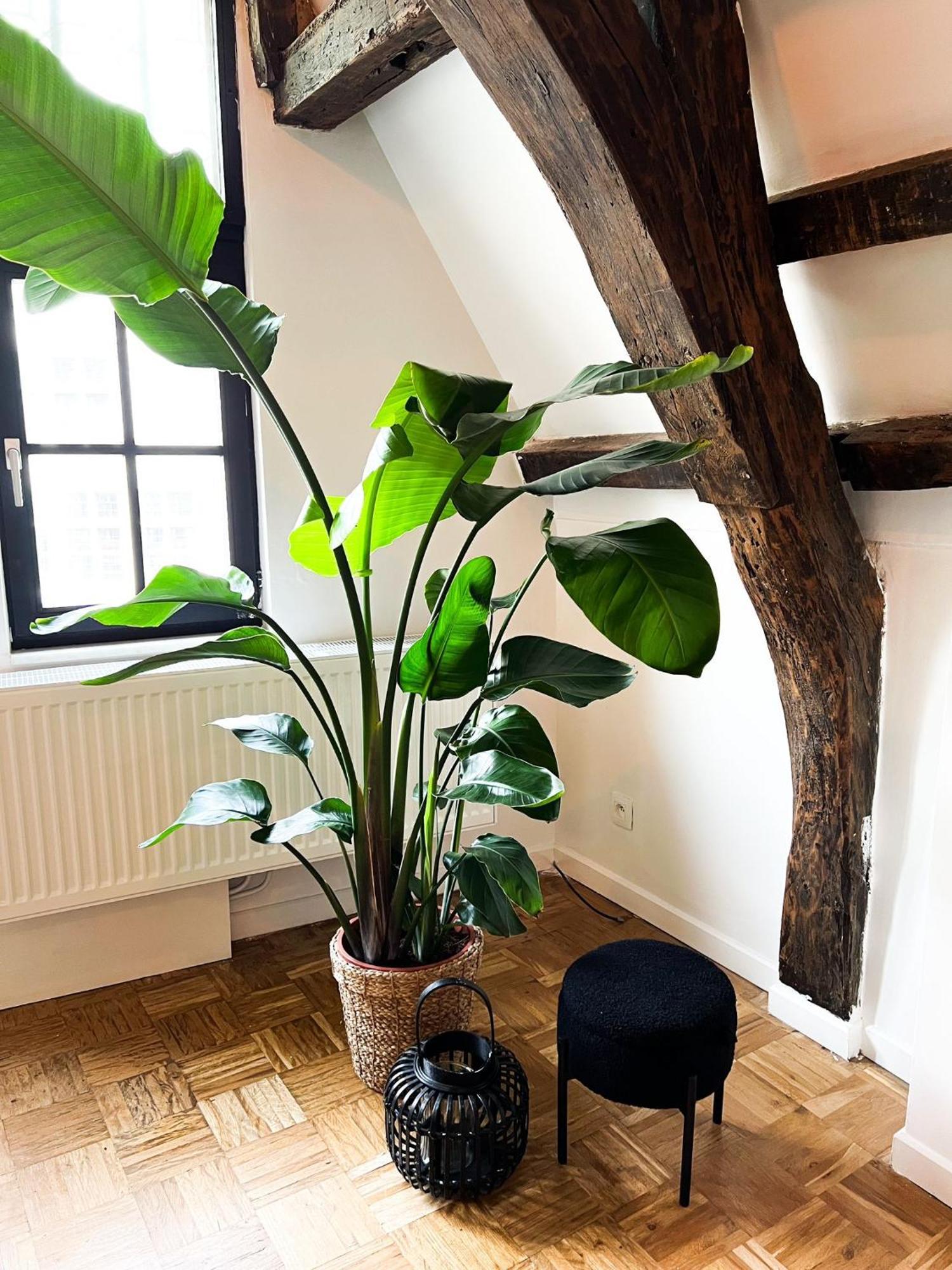 Nammos Home'S Antwerpen Eksteriør billede